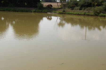 l'etang